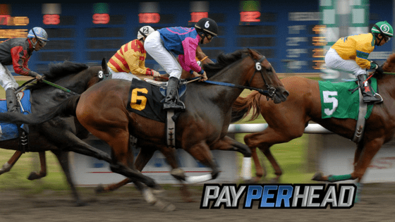 Horse Betting 101