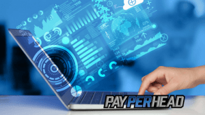 4 Pay Per Head Tools
