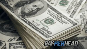Build A Sportsbook Business
