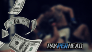 UFC229 Betting