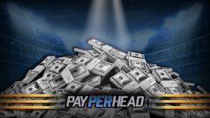 bookie wins 2018