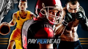 Pay Per Head Various Sports