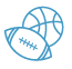 Variety Sport Balls Icon