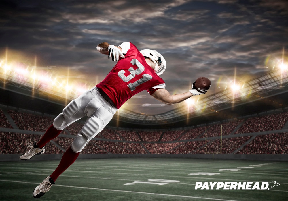 NFL Season Pay Per Head Concept