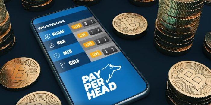 cryptocurrency sports wagering