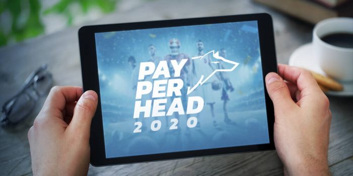pay per head bookie 2020 concept