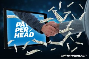 Choose the right per head company