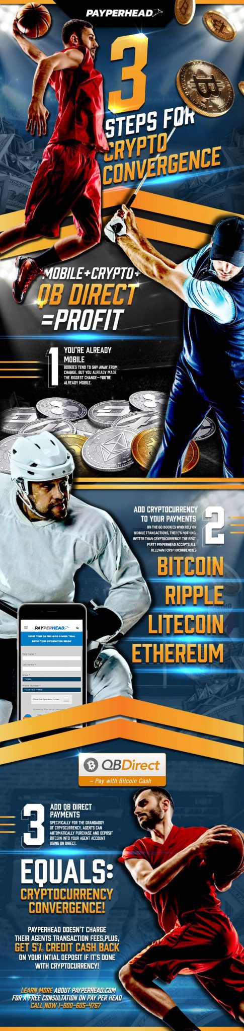 cryptocurrency infographic for Pay Per Head