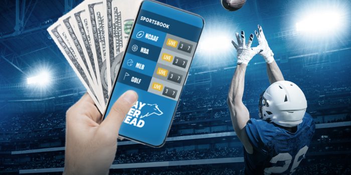 The Best Football Betting Software