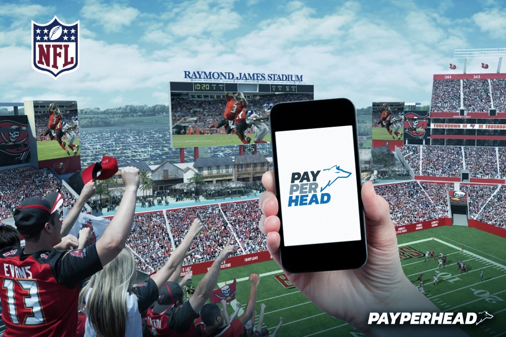 Sports Betting Software Breeds Sportsbook Success - PayPerHead®