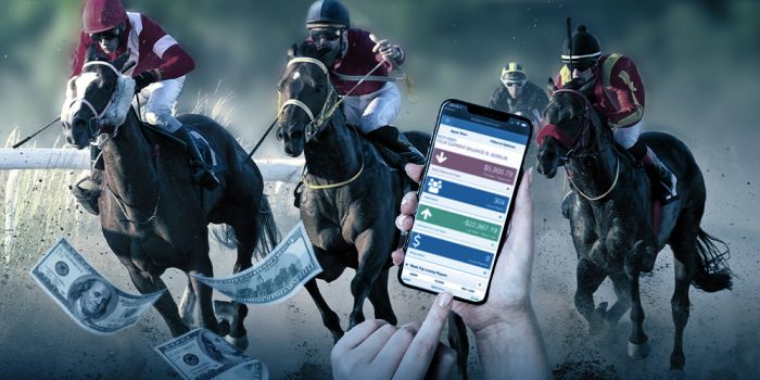 Horse Betting Online: Advantages Pay Per Head Agents Can Offer Horseplayers