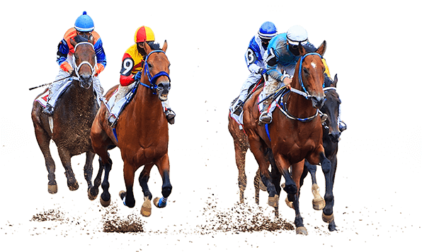 Horse Racing Banner