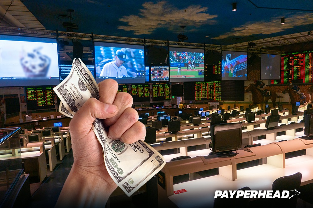 Create a White Label Sportsbook With PayPerHead Software