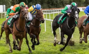 How to Bet on Horse Racing and Bet Types Explained