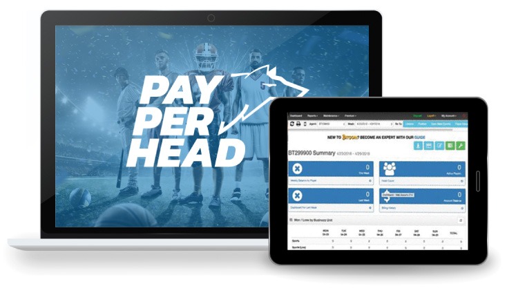 Pay Per Head Sportsbook Software | Trusted Platform Since 1997